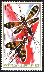 Rwandan stamp